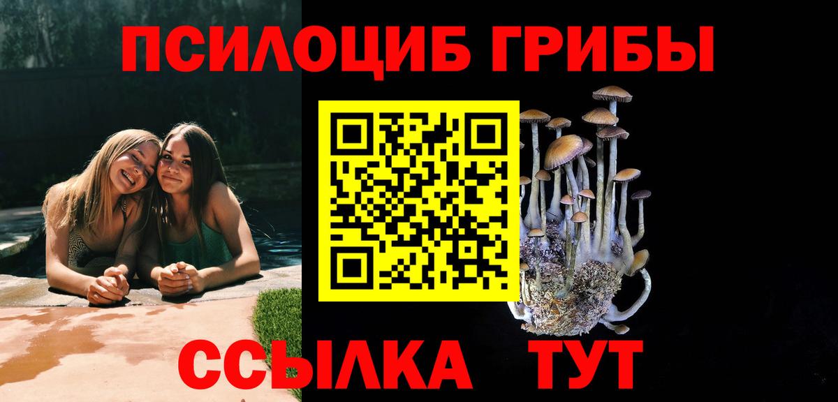 Псилоцибиновые грибы Psilocybe Советский